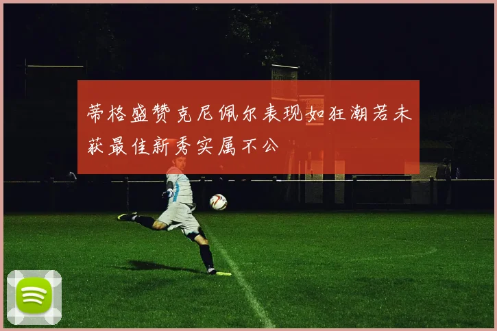 蒂格盛赞克尼佩尔表现如狂潮若未获最佳新秀实属不公