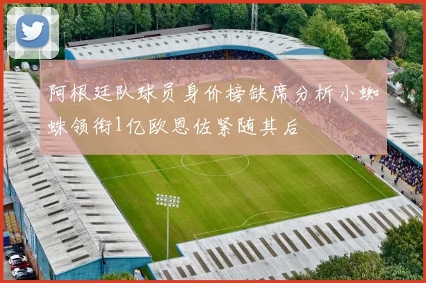 阿根廷队球员身价榜缺席分析小蜘蛛领衔1亿欧恩佐紧随其后